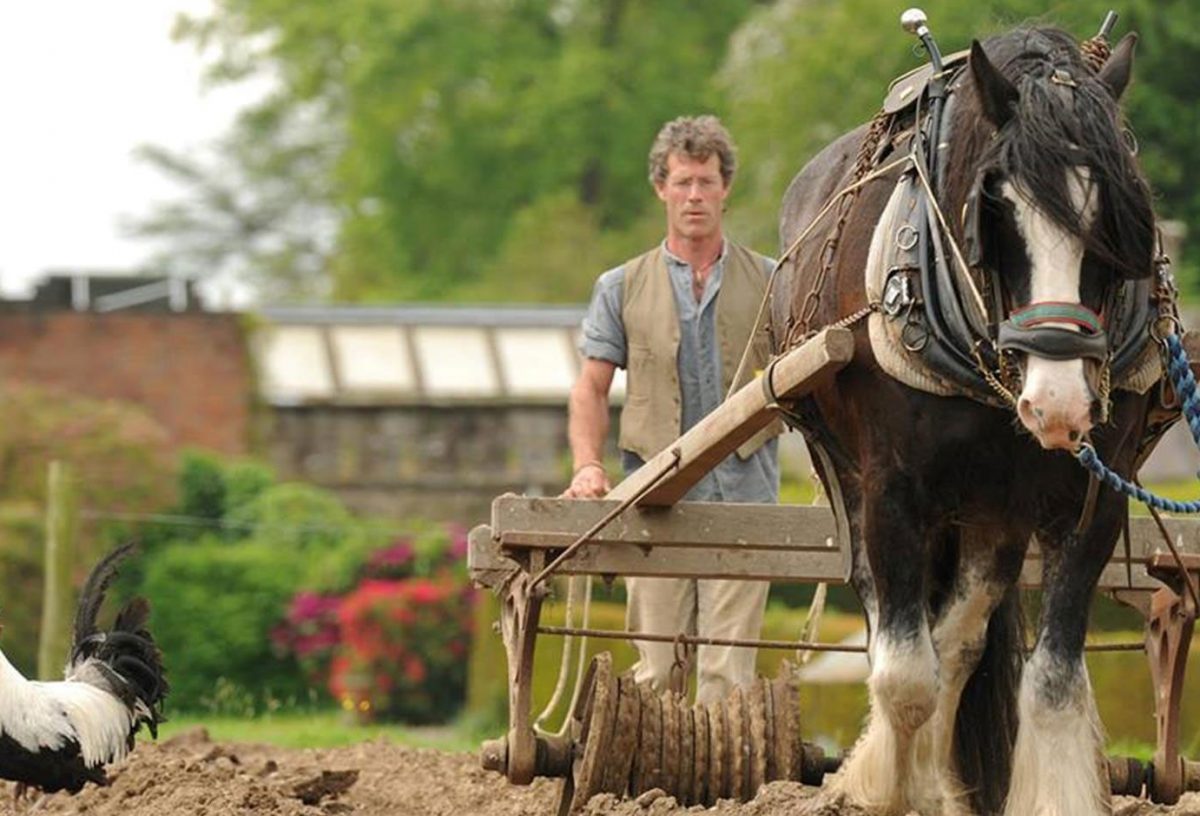 Acton Scott Historic Working Farm